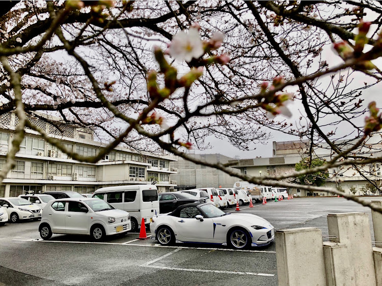 ロードスターの桜コラボ🌸・医療従事者にエールを❗️・コロナウイルスに負けるな・two-kに関するカスタム事例の投稿画像4枚目