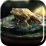 Frog Amazing Graphics LiveWP Apk