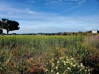 maison neuve à Marseillan (34)