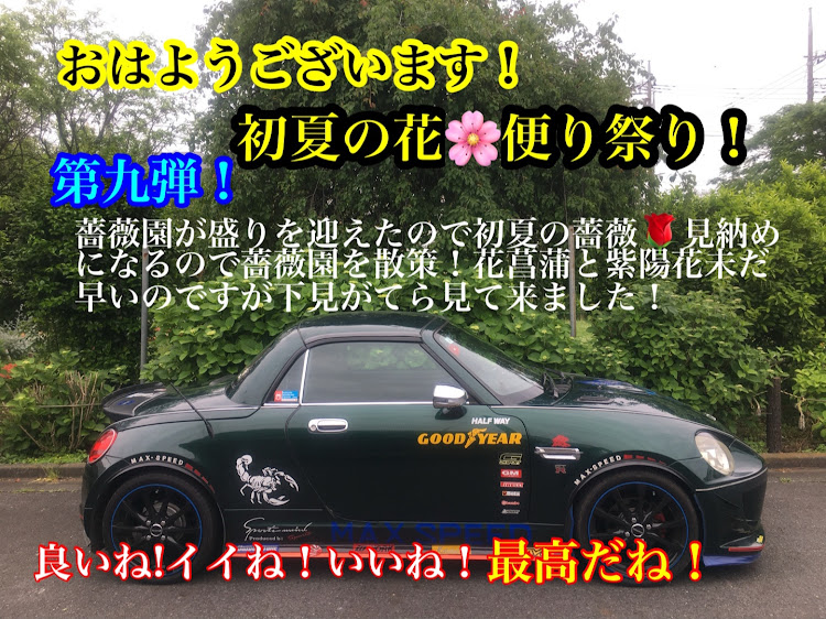 コペンの初夏の花🌸便り祭り!第九弾!人生大いに楽しみましよね！・幸せは自分自身で見出す物で他人から与えられる物では有りません！最高だね！・貧乏しても心❤️の貧乏人には成りたく無いですね！最高だね！・妬み!僻み!は持たず!心❤️豊かに過ごしましょう!最高だね！・人は人です!自分の納得出来る生き方をしましょう!最高だね！に関するカスタム事例の投稿画像1枚目