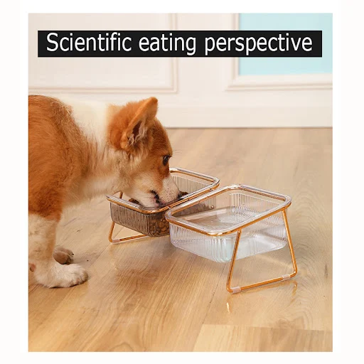 Pet Double Bowl Transparent High Foot Cat Bowl Drink water Cat Food With Golden Stand Raised Water Feeder Dog Bowl Suppl