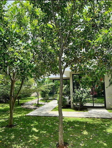 Villa avec piscine et terrasse 4