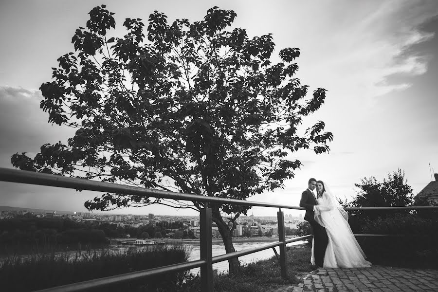 Fotografo di matrimoni Teodóra Balassa (balassateodora). Foto del 1 marzo 2017