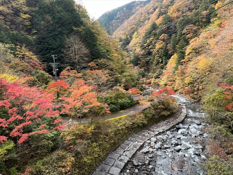 の投稿画像7枚目