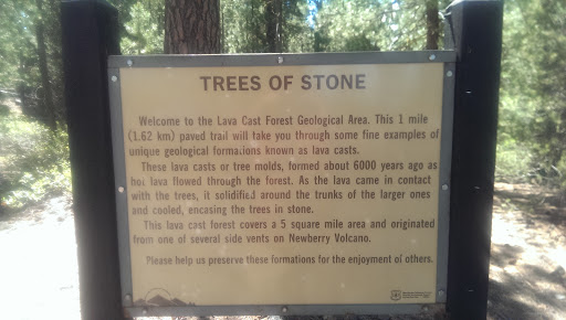 Trees Of Stone