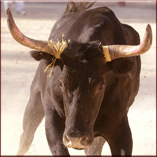 Bill Bull Rodeo Matador icon