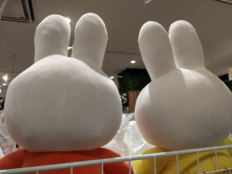 レヴォーグの#クルマ熱が下がり気味・玄関をカスタマイズ・ソフ活・白山イオン・蚊取り線香ブタに関するカスタム事例の投稿画像5枚目