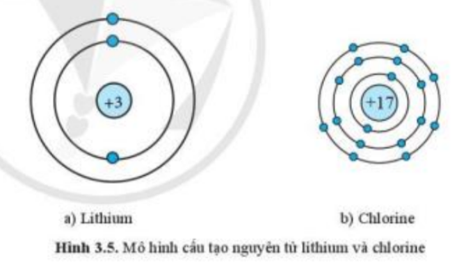 Câu hỏi trang 22 SGK TN&XH 7 CD tập 1