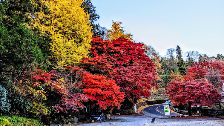 セルボの紅葉・ありがとう・これからも・綺麗・群馬県に関するカスタム事例の投稿画像8枚目