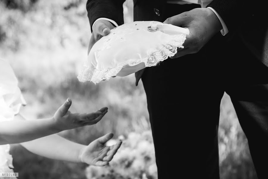 Photographe de mariage Oleg Nedilko (nedilko). Photo du 5 juin 2016