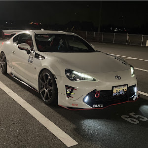 86 ZN6