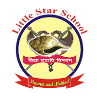 Little Star School