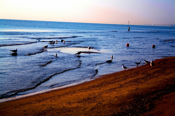 Colazione a bordo mare di leo.mauso