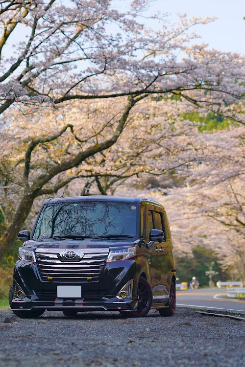 ルーミーカスタムの桜と愛車・桜とコラボ・桜・ターンパイクに関するカスタム事例の投稿画像3枚目