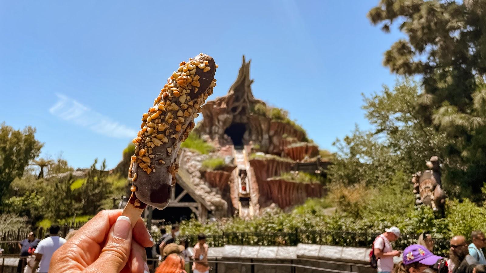 Healthy snacks Disneyland Fitness trip planner