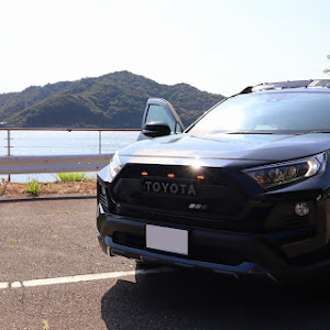 RAV4 MXAA54