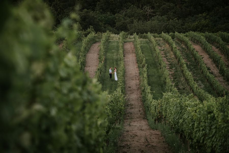 Fotógrafo de bodas Lubomir Drapal (lubomirdrapal). Foto del 5 de septiembre 2018