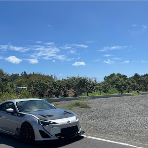 86 ZN6