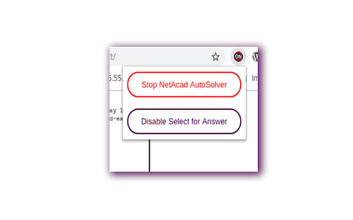 NetAcad Assessment AutoSolver