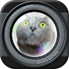 Fisheye Camera icon