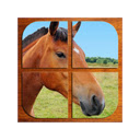 Horses Puzzle Chrome extension download