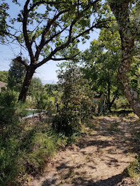 terrain à batir à Lacoste (84)