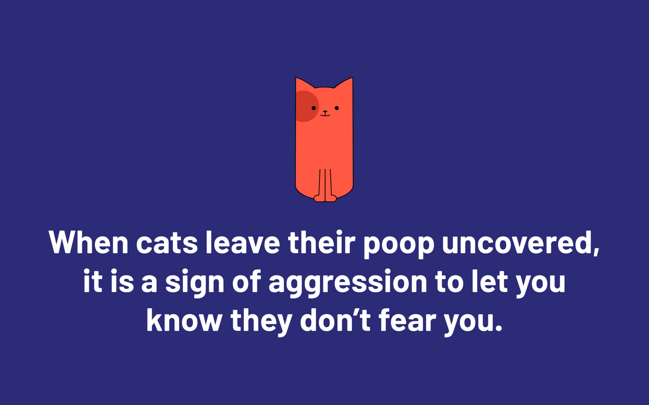 MeowMeowFacts Preview image 4