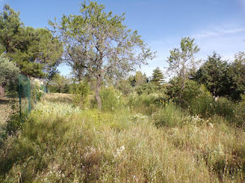 terrain à Cucuron (84)