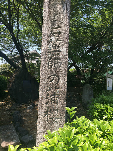 石薬師の蒲桜 石碑