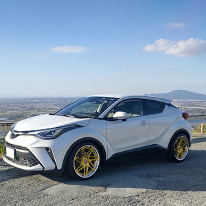 C-HR ZYX11