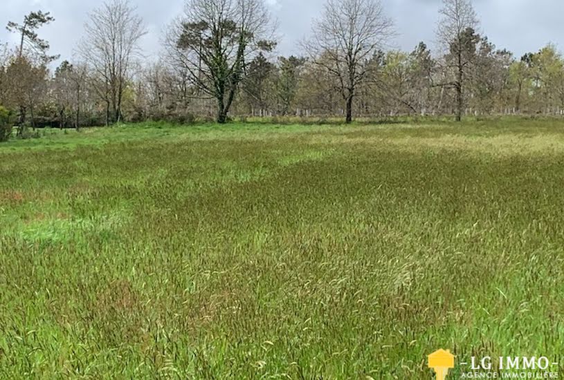  Vente Terrain à bâtir - 1 030m² à Saint-Bonnet-sur-Gironde (17150) 