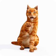 Play with 3D Cat LiveWP  Icon