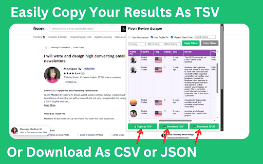 Fiverr Gig Review Extractor Preview 3