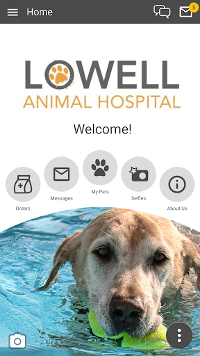 Screenshot Lowell Animal Hospital
