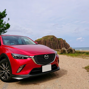 CX-3 DK5FW