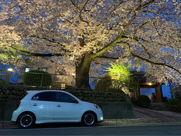 マーチの4月もよろしくお願い致します🌸・春ですね・サクラと愛車・桜とコラボ・Team うまくたピーナッツ🥜に関するカスタム事例の投稿画像2枚目