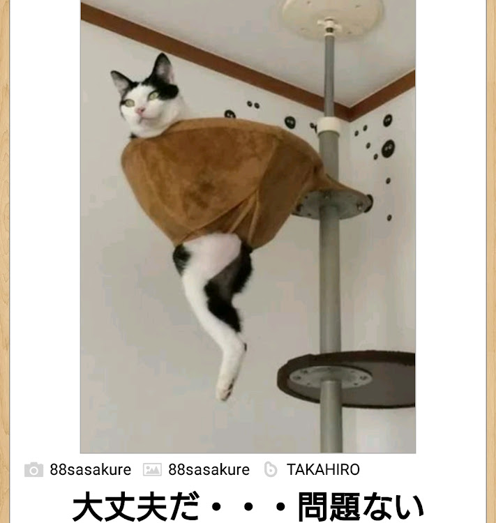 フィットのもっちーさんの3秒で笑いまshowに関するカスタム事例の投稿画像83枚目