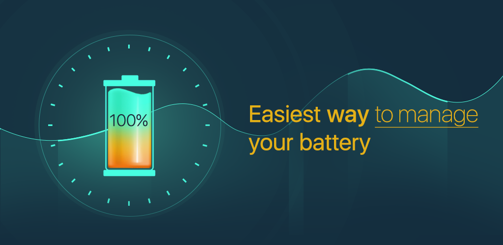 Battery manager. Soft Alliance.