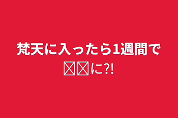 梵天に入ったら1週間で𓏸𓏸に?!