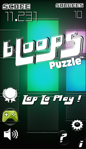 bLoops Puzzle