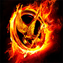 The Hunger Games Wallpapers HD Theme