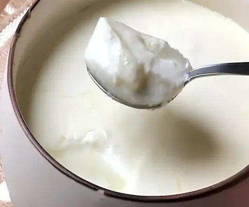 Plain Curd