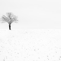 Solo bianco di 