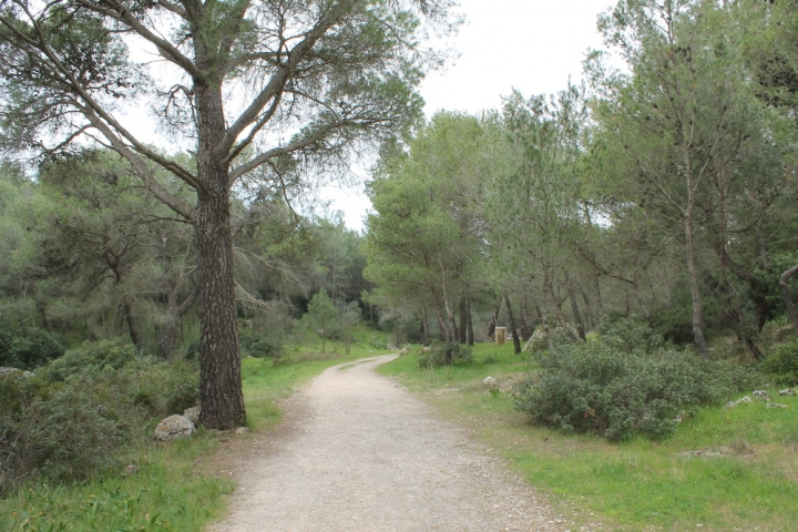 In mezzo alla natura di luigi86