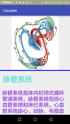 系统解剖学