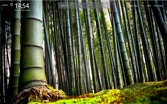 Nature Wallpapers Theme New Tab