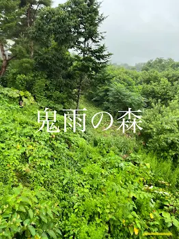 「鬼雨の森　神社ルート」のメインビジュアル