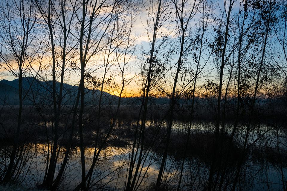 il mattino ha l'oro in bocca di claudia_cla_albertosi