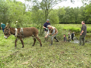 Artisans, Maître pipier, fait main ou industriels ? - Page 7 CNRfx5W94neopx6Qfsl0_JNxXX34B8pYQi91Vc0Rk_oGQHKT9Ak_l5FOjKluKZtRPd_UNCvYC2X1u1F-nw=w293-h220