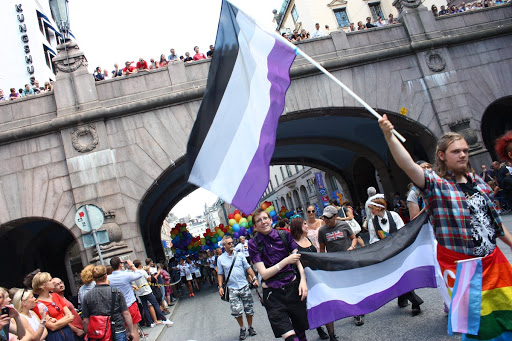 Asexual network at Stockholm Pride